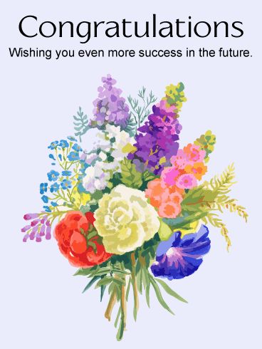 congrats message